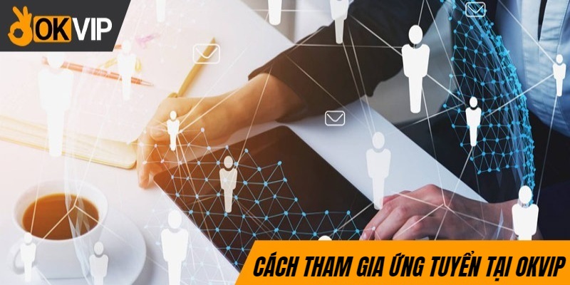 Cách tham gia ứng tuyển cho các vị trí trong tuyển dụng OKVIPv