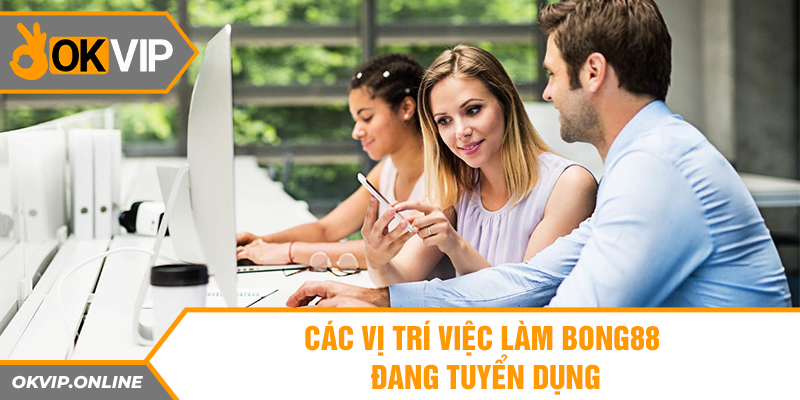 Các vị trí việc làm Bong88 đang tuyển dụng