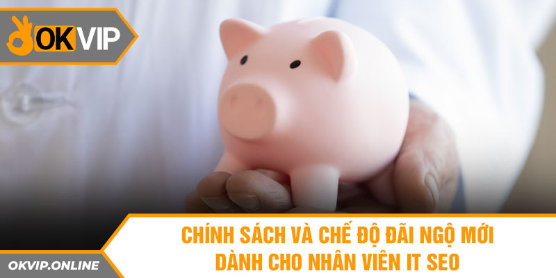 Chính sách và chế độ đãi ngộ mới dành cho nhân viên IT SEO