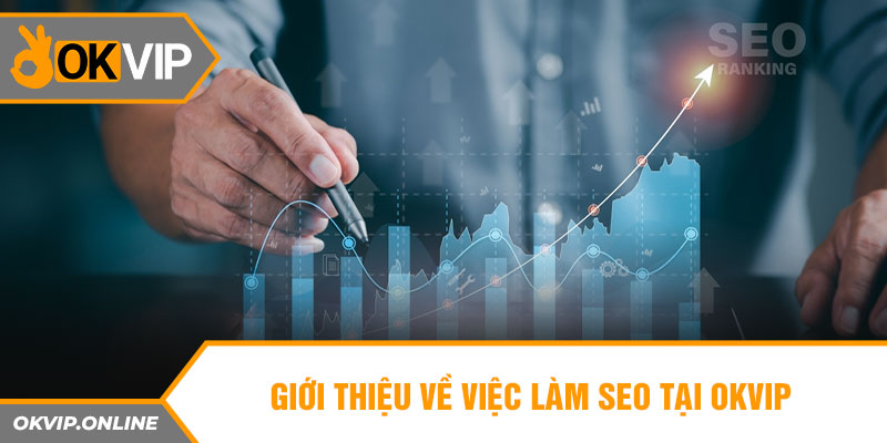 Giới thiệu về việc làm seo tại OKVIP