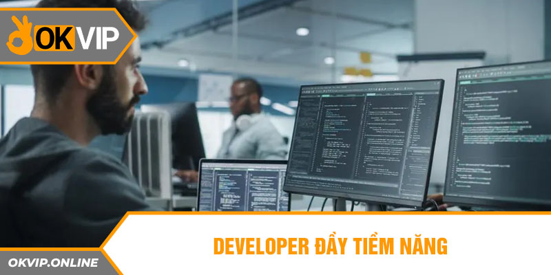 Developer đầy tiềm năng