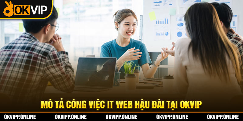 Mô tả công việc IT web hậu đài tại OKVIP.