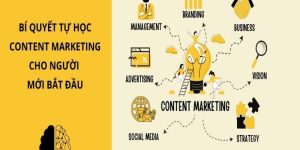 Content học việc