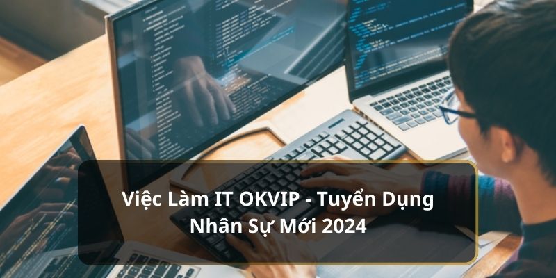 Việc làm IT OKVIP năm 2024 - 2025